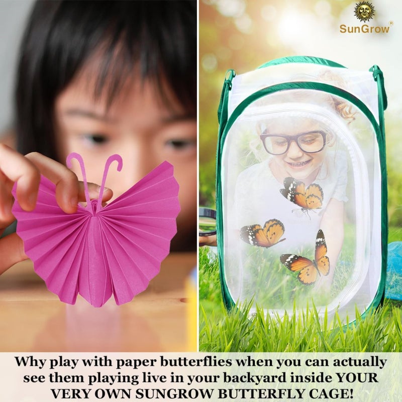 SunGrow Foldable Butterfly Habitat, 24" Butterfly Cage for Caterpillars, Create Farm, Enclosure for Breeding Soldier Fly, Ladybug, Dragonfly, or Housefly for Chicken and Reptile Feed, Green - Image 4